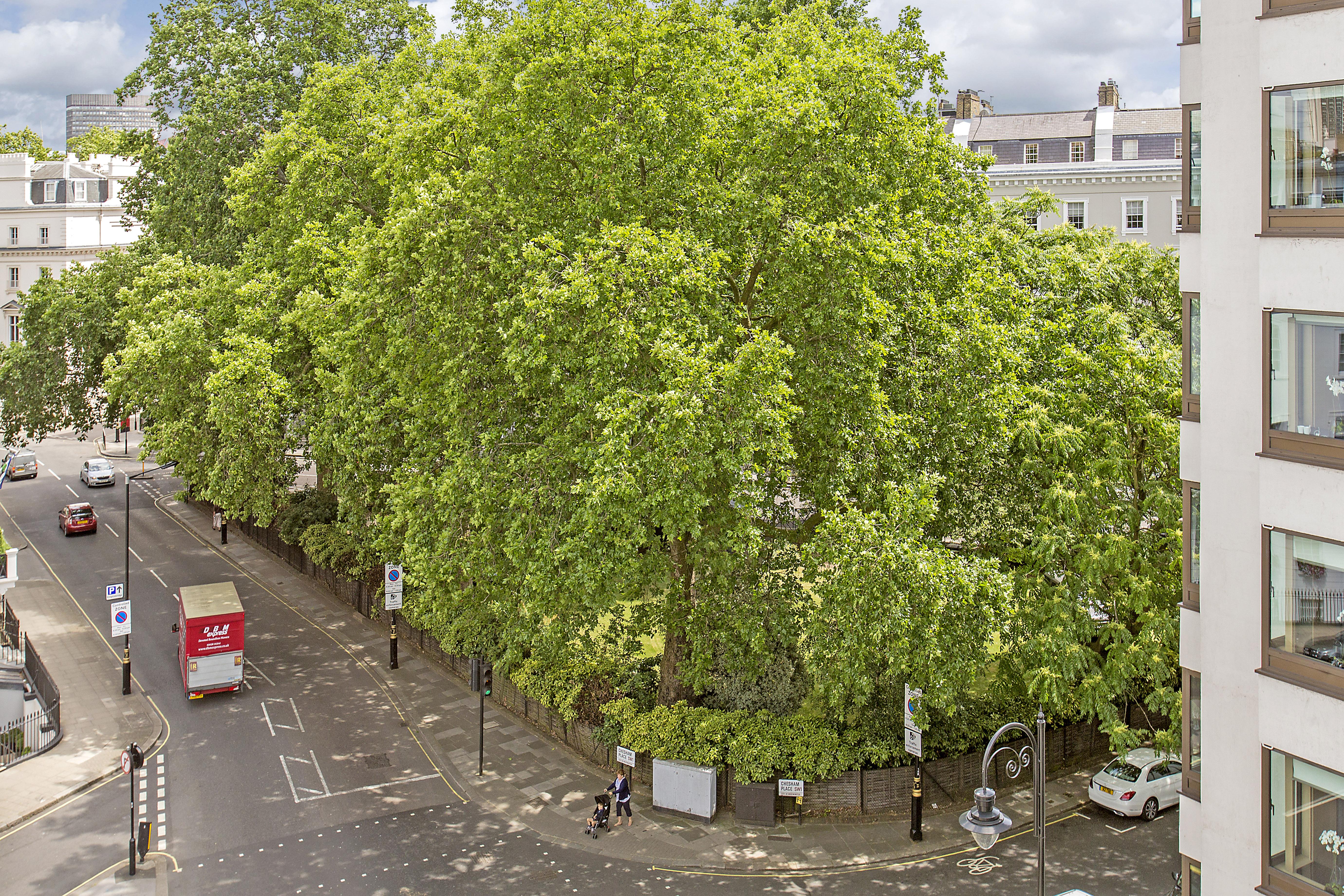 Aparthotel Chesham Court Knightsbridge Londres Exterior foto